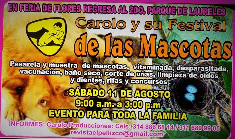 Festival Carolo