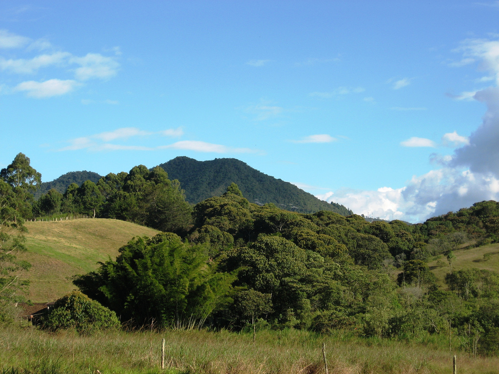 Por ordenanza Antioquia tendrá esquema de pago por servicios ambientales